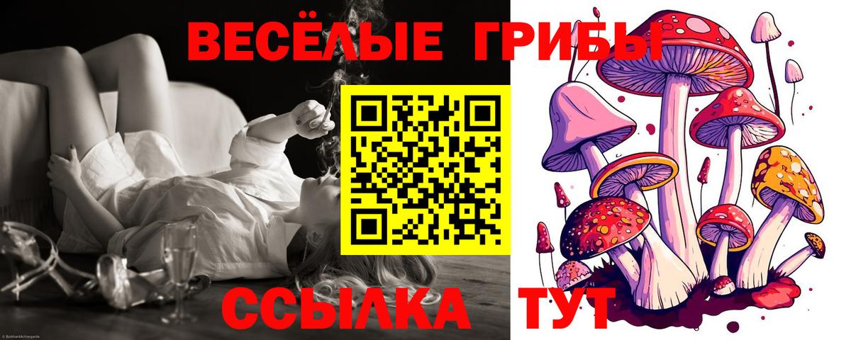 Галлюциногенные грибы MAGIC MUSHROOMS Углич