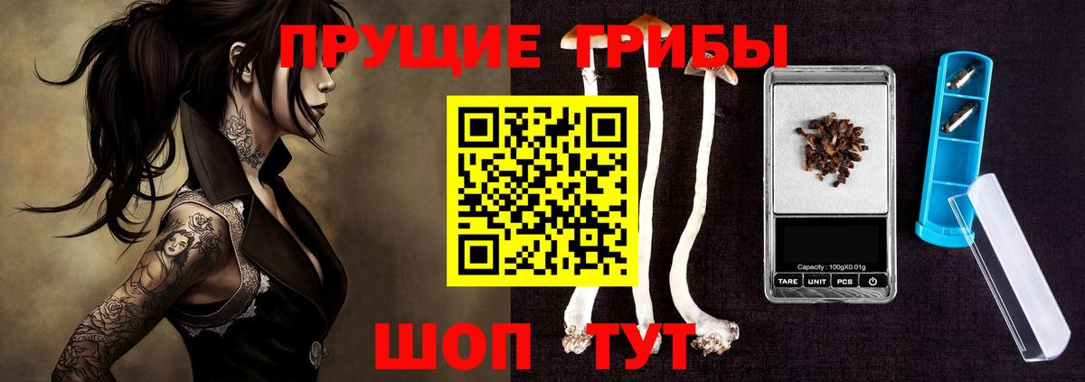Углич  Галлюциногенные грибы GOLDEN TEACHER  Вход с VPN  Псилоцибиновые грибы Psilocybe 